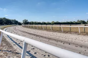 1345 NE 155 Pl, Citra, FL 32113 - Photo 51