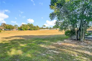 1037 E Hartford St, Hernando, FL 34442 - Photo 63