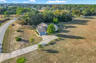 1037 E Hartford St, Hernando, FL 34442 - Photo 57