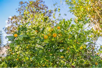 9694 SW 89th Loop, Ocala, FL 34481 - Photo 41