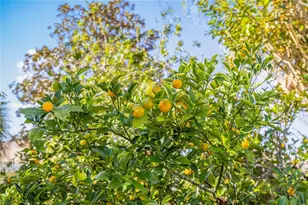 9694 SW 89th Loop, Ocala, FL 34481 - Photo 41