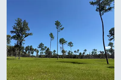 Dr #8 (10Ac) NW 193rd St, Micanopy, FL 32667 - Photo 3