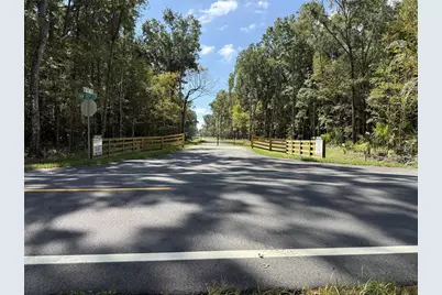 Dr #8 (10Ac) NW 193rd St, Micanopy, FL 32667 - Photo 9