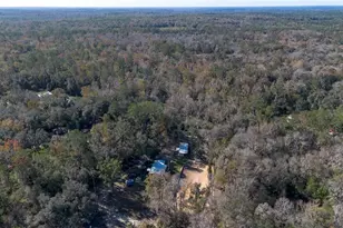 22924 NW 91st Court Rd, Micanopy, FL 32667 - Photo 79