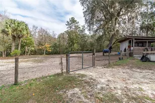 22924 NW 91st Court Rd, Micanopy, FL 32667 - Photo 49