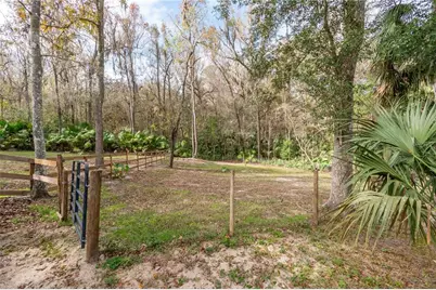 22924 NW 91st Court Road, Micanopy, FL 32667 - Photo 51