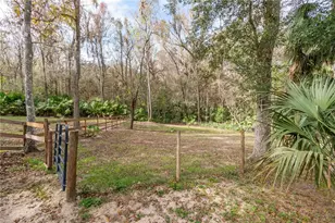 22924 NW 91st Court Rd, Micanopy, FL 32667 - Photo 51