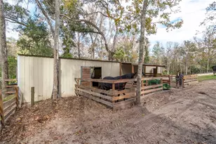 22924 NW 91st Court Rd, Micanopy, FL 32667 - Photo 57
