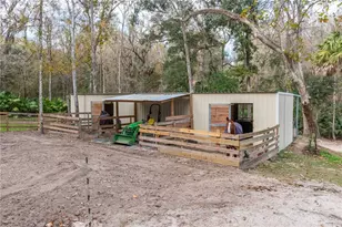 22924 NW 91st Court Rd, Micanopy, FL 32667 - Photo 55