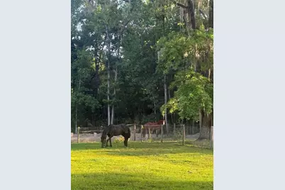 22924 NW 91st Court Road, Micanopy, FL 32667 - Photo 93