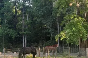 22924 NW 91st Court Rd, Micanopy, FL 32667 - Photo 93