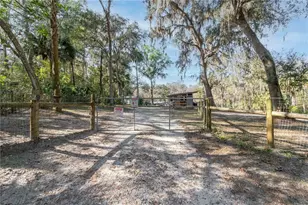 22924 NW 91st Court Rd, Micanopy, FL 32667 - Photo 59