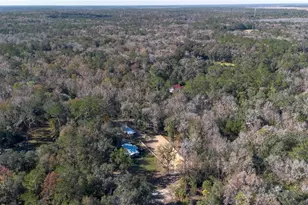 22924 NW 91st Court Rd, Micanopy, FL 32667 - Photo 75