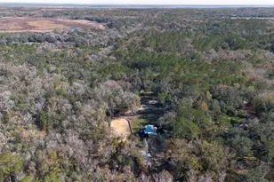 22924 NW 91st Court Rd, Micanopy, FL 32667 - Photo 81