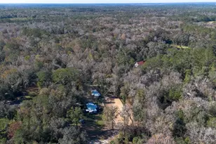 22924 NW 91st Court Rd, Micanopy, FL 32667 - Photo 77