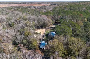 22924 NW 91st Court Rd, Micanopy, FL 32667 - Photo 85