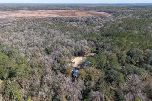 22924 NW 91st Court Rd, Micanopy, FL 32667 - Photo 83