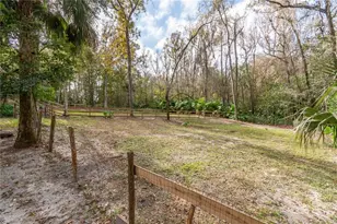 22924 NW 91st Court Rd, Micanopy, FL 32667 - Photo 51