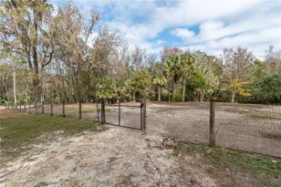 22924 NW 91st Court Rd, Micanopy, FL 32667 - Photo 49