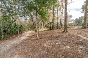 22924 NW 91st Court Rd, Micanopy, FL 32667 - Photo 53