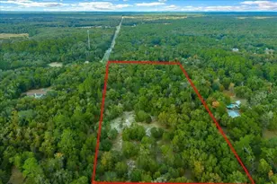 7173 W R Thomas Rd, Keystone Heights, FL 32656 - Photo 63
