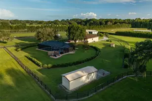 9481 W Hwy 316, Reddick, FL 32686 - Photo 31