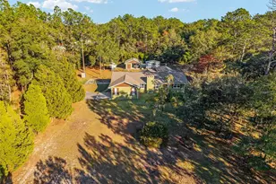 9025 SW 215th Ave, Dunnellon, FL 34431 - Photo 61