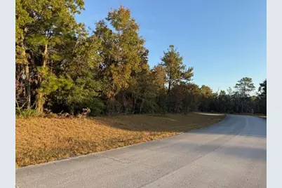 Tbd SW 138th Lane, Ocala, FL 34473 - Photo 5