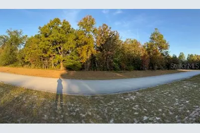 Tbd SW 138th Lane, Ocala, FL 34473 - Photo 7