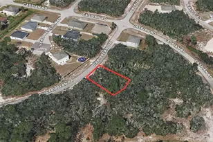 1237 Caribbean Dr, Kissimmee, FL 34759 - Photo 1