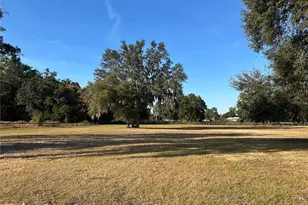 14525 NW Hwy 464B, Morriston, FL 32668 - Photo 25