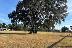 14525 NW Hwy 464B, Morriston, FL 32668 - Photo 19