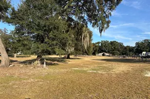 14525 NW Hwy 464B, Morriston, FL 32668 - Photo 23