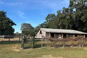 14525 NW Hwy 464B, Morriston, FL 32668 - Photo 7