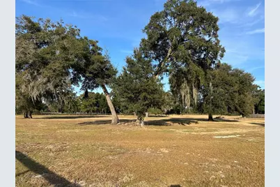 14525 NW Highway 464B, Morriston, FL 32668 - Photo 21