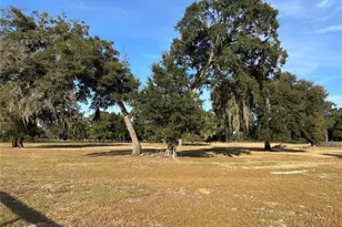 14525 NW Hwy 464B, Morriston, FL 32668 - Photo 21