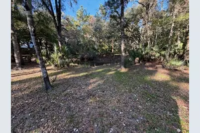 6455 E Sioux Canal Drive, Hernando, FL 34442 - Photo 7