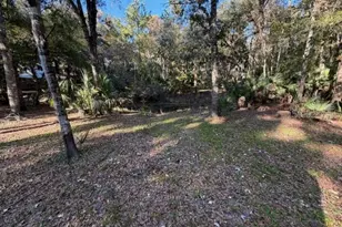 6455 E Sioux Canal Dr, Hernando, FL 34442 - Photo 7