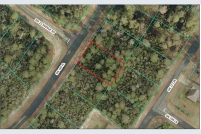 Lot 17 SW 169th Place, Ocala, FL 34473 - Photo 1