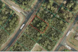 Lot 17 SW 169th Pl, Ocala, FL 34473 - Photo 1