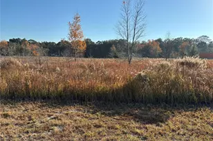 0 SW 32nd Pl, Ocala, FL 34481 - Photo 1