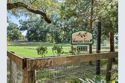 4551 NE 160th Avenue, Williston, FL 32696 - Photo 3