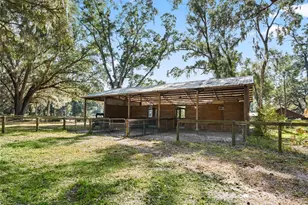 4551 NE 160 Ave, Williston, FL 32696 - Photo 37