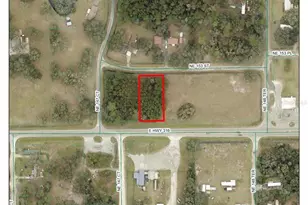 000 E 316 Hwy, Fort Mc Coy, FL 32134 - Photo 1