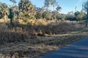 Tbd SE 110th Ave, Inglis, FL 34449 - Photo 1