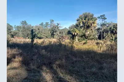 Tbd SE 110th Avenue, Inglis, FL 34449 - Photo 3