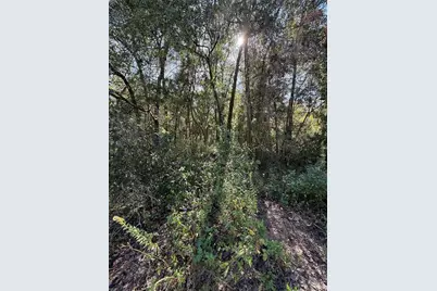 00 SW 2nd Pl, Ocala, FL 34474 - Photo 11