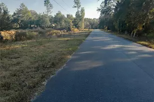 Tbd SE 110th Ave, Inglis, FL 34449 - Photo 1