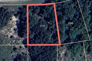 576 E Abady Ln, Dunnellon, FL 34434 - Photo 1
