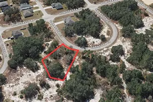 1407 Sarasota Ct, Kissimmee, FL 34759 - Photo 1